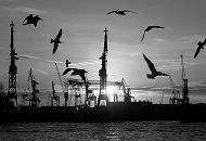 13_x9830 Die Sonne steht niedrig ber dem Horizont des Hamburger Hafens - die untergehende Sonne scheint zwischen der Helge und Krananlagen der Werft hindurch. Mwen fliegen ber das Wasser der Elbe. 