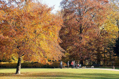 1627 Herbstspaziergang im Hohenbuchen Park - Wiese mit Laub, Spaziergnger mit Hunden auf dem Weg zwischen den Herbstbumen im Hohenbuchen Park.
