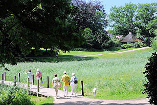 6333 Spaziergngerinnen im Stadtpark Harburgs berqueren ein Feuchtbiotop ber einen Steg im Harburger Stadttpark.