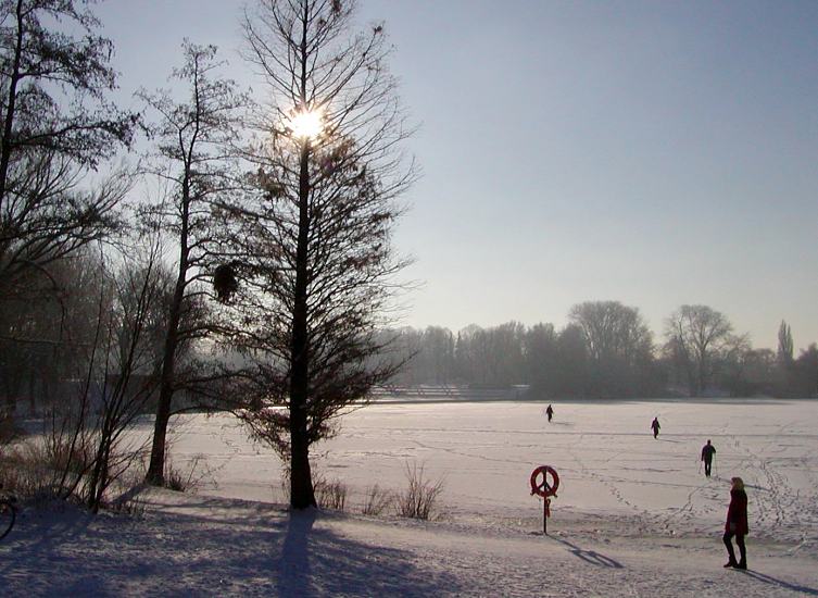 Fotografien vom Hamburger Winter - Spaziergang im Schnee. 274_1010037 Die Wintersonne steht hinter den kahlen Bumen am Stadtparksee - einige Spaziergnger gehen zu Fuss oder mit Skiern ber den zugefrorenen See. Der Rettungsring am Seeufer wirft einen langen Schatten auf den Rundweg um den See.
