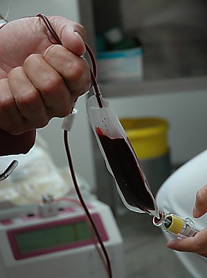 011_14531 - Entnahme einer Blutprobe whrend der Blutspende.