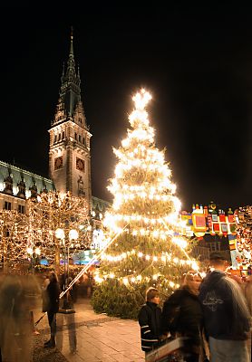 11_15259 - mit Lichterketten geschmckter Tannenbaum vor dem Rathaus. 